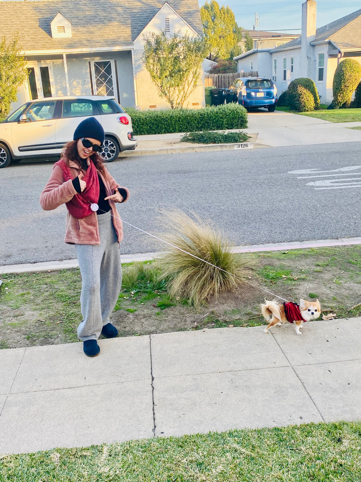 ALL INCLUSIVE carrier w/harness &amp; leash!