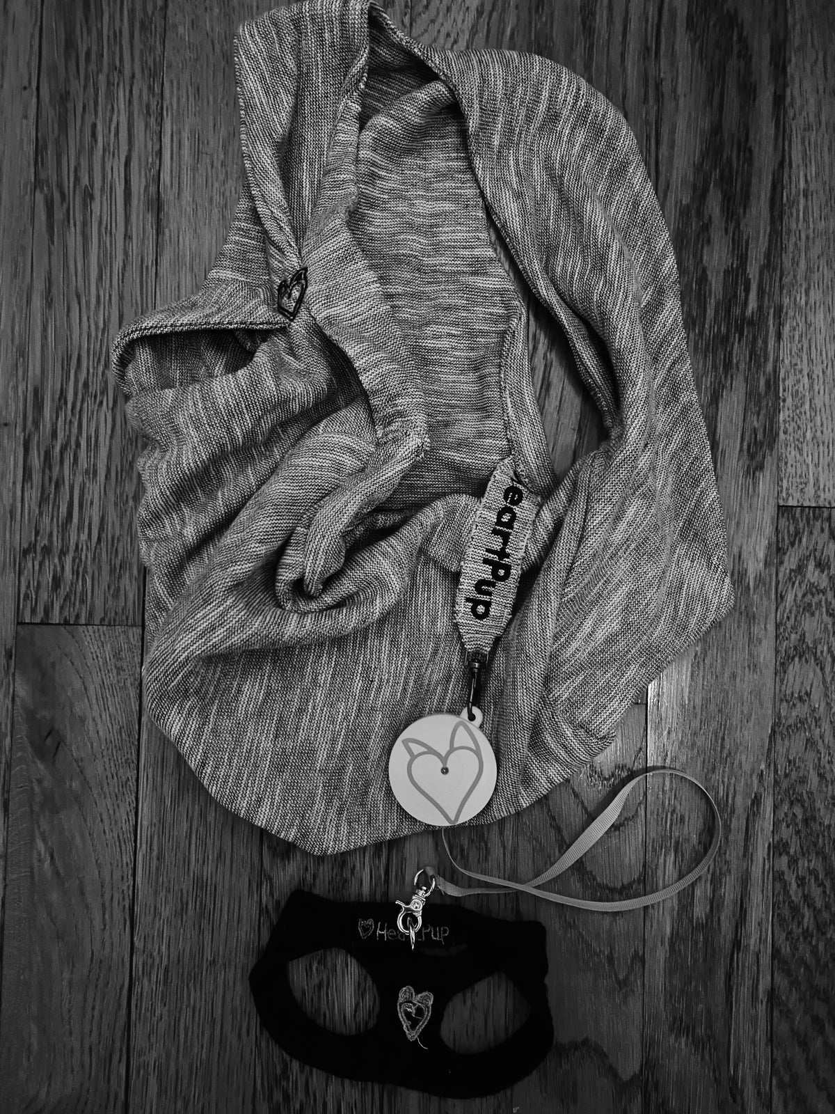 ALL INCLUSIVE carrier w/harness &amp; leash!