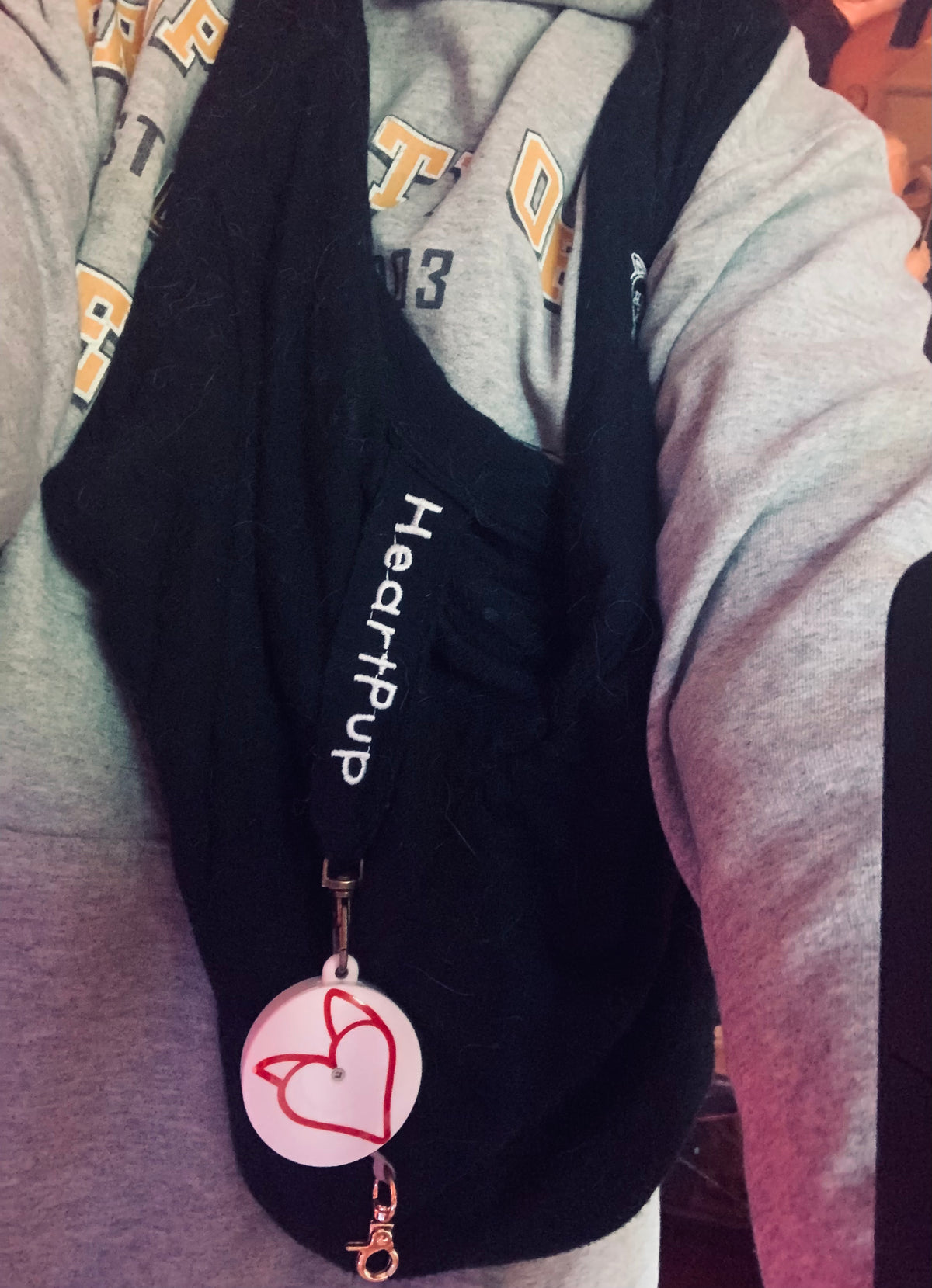 ALL INCLUSIVE carrier w/harness &amp; leash!