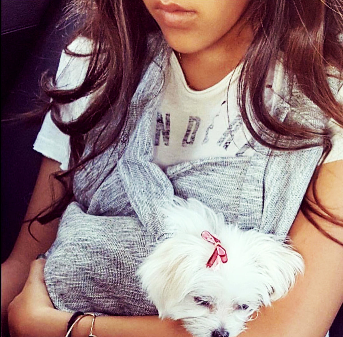 Kids pocket dog carriers (not for adults over xs)