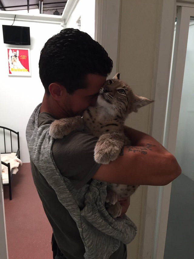 MEN&#39;S DOG MESSENGER PET BAG TOTE DOG CARRIER SLING