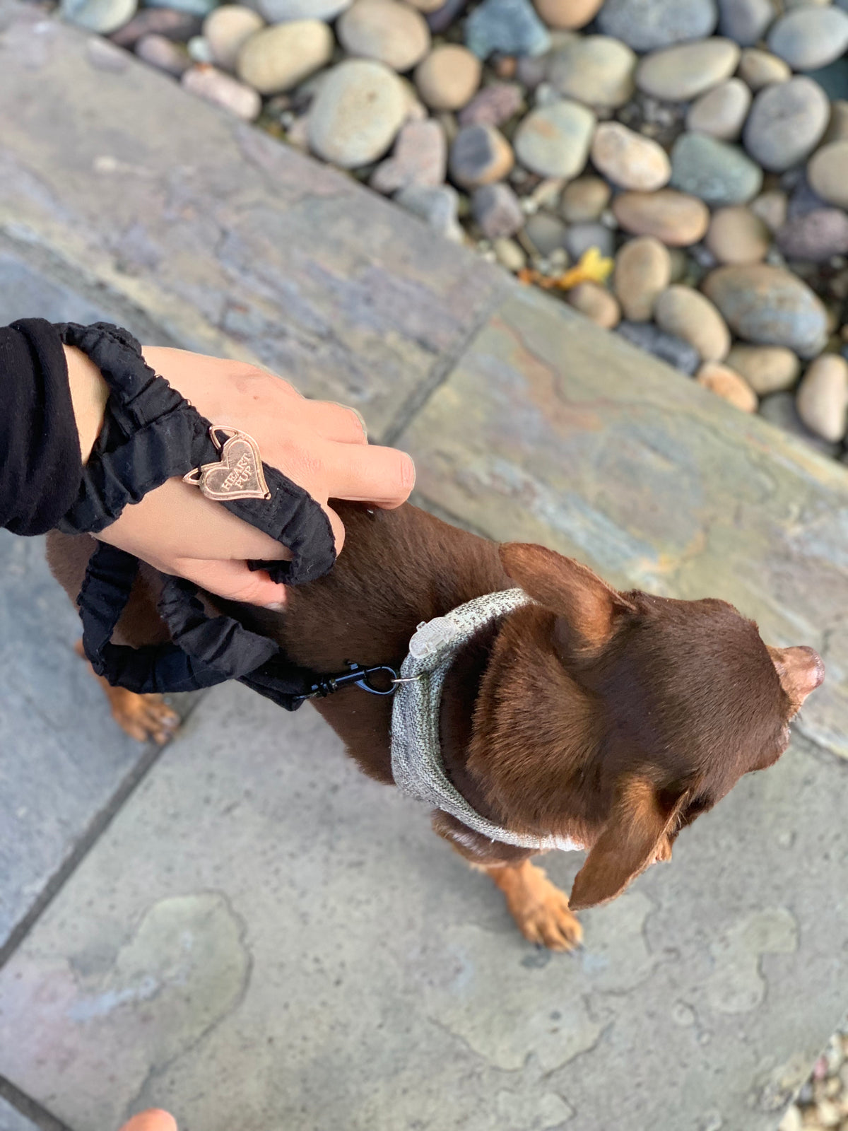 HeartPup slip on body dog harness with D-ring 👍👍 (cotton/cashmere)