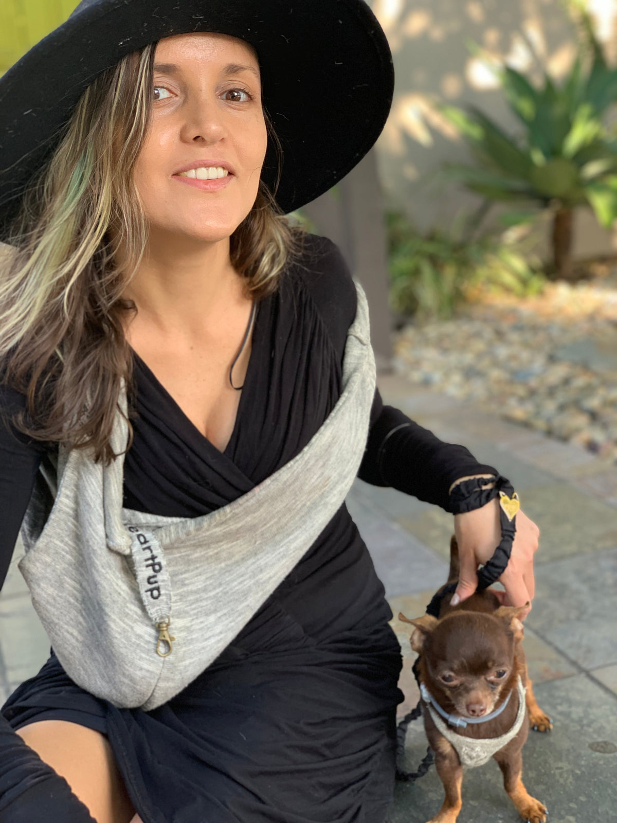 ALL INCLUSIVE carrier w/harness &amp; leash!