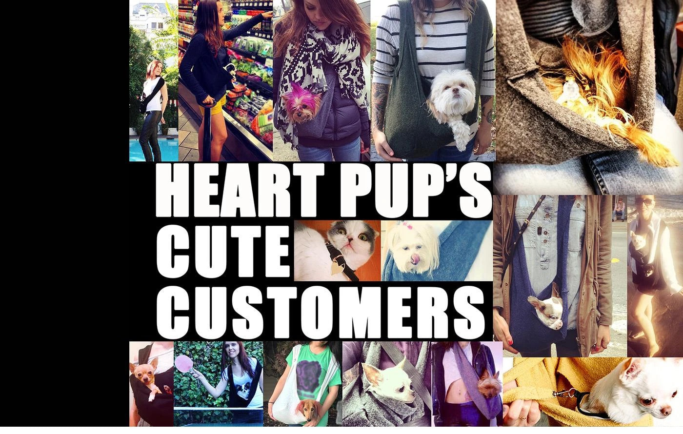 HeartPup