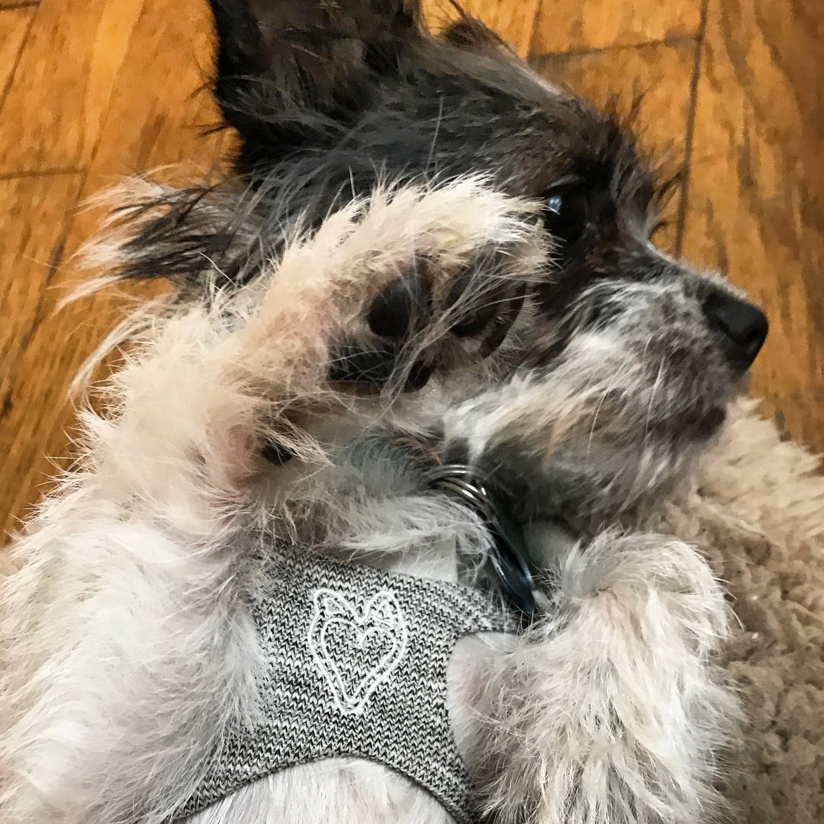 HeartPup slip on body dog harness with D-ring 👍👍 (cotton/cashmere)