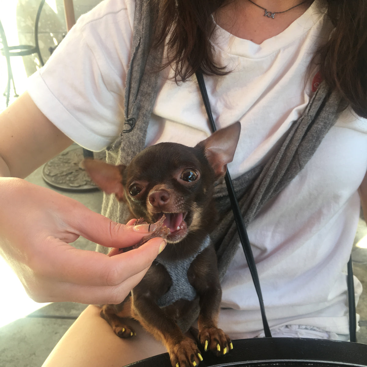 HeartPup slip on body dog harness with D-ring 👍👍 (cotton/cashmere)