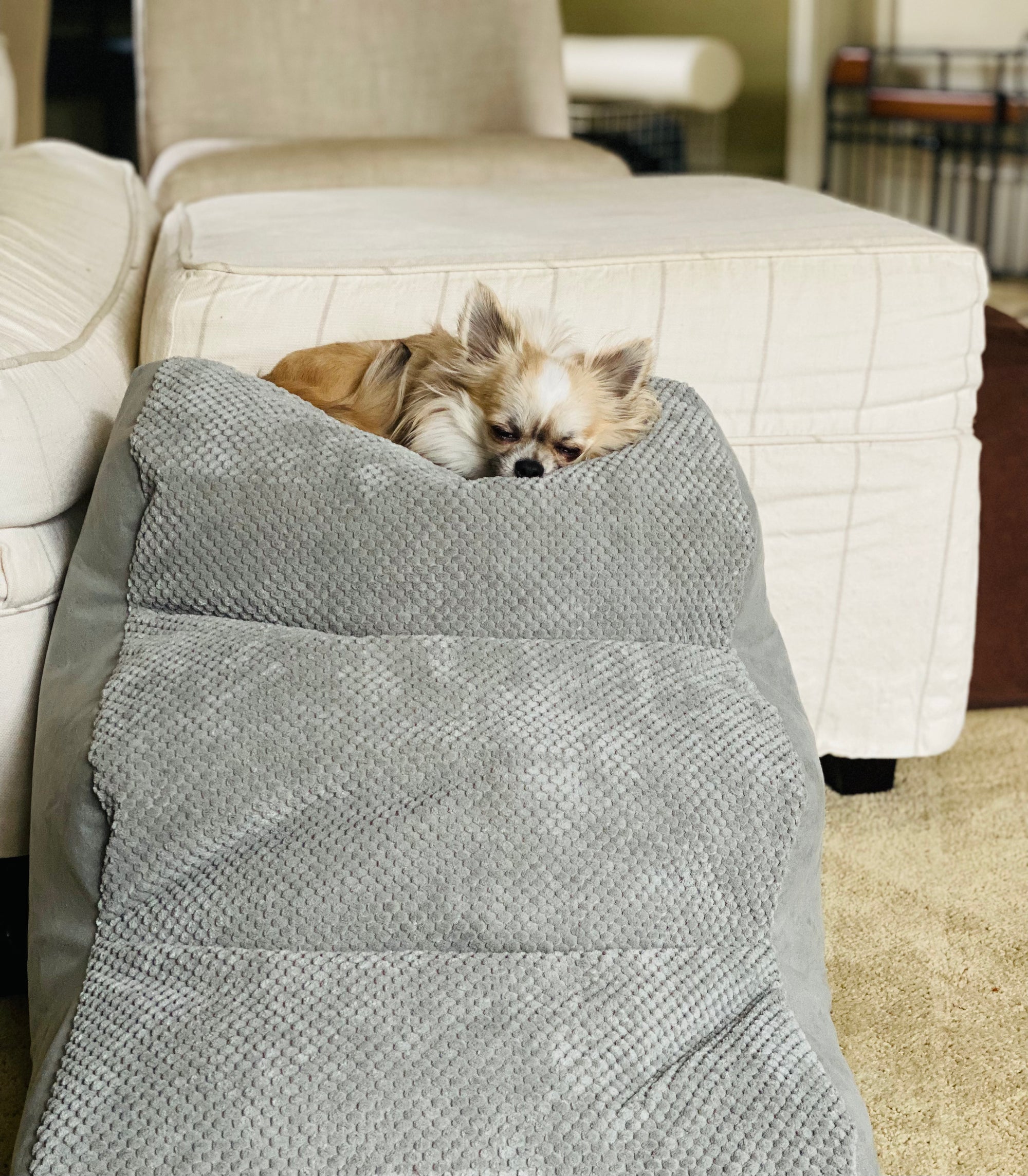 Best Orthopedic small pet stairs