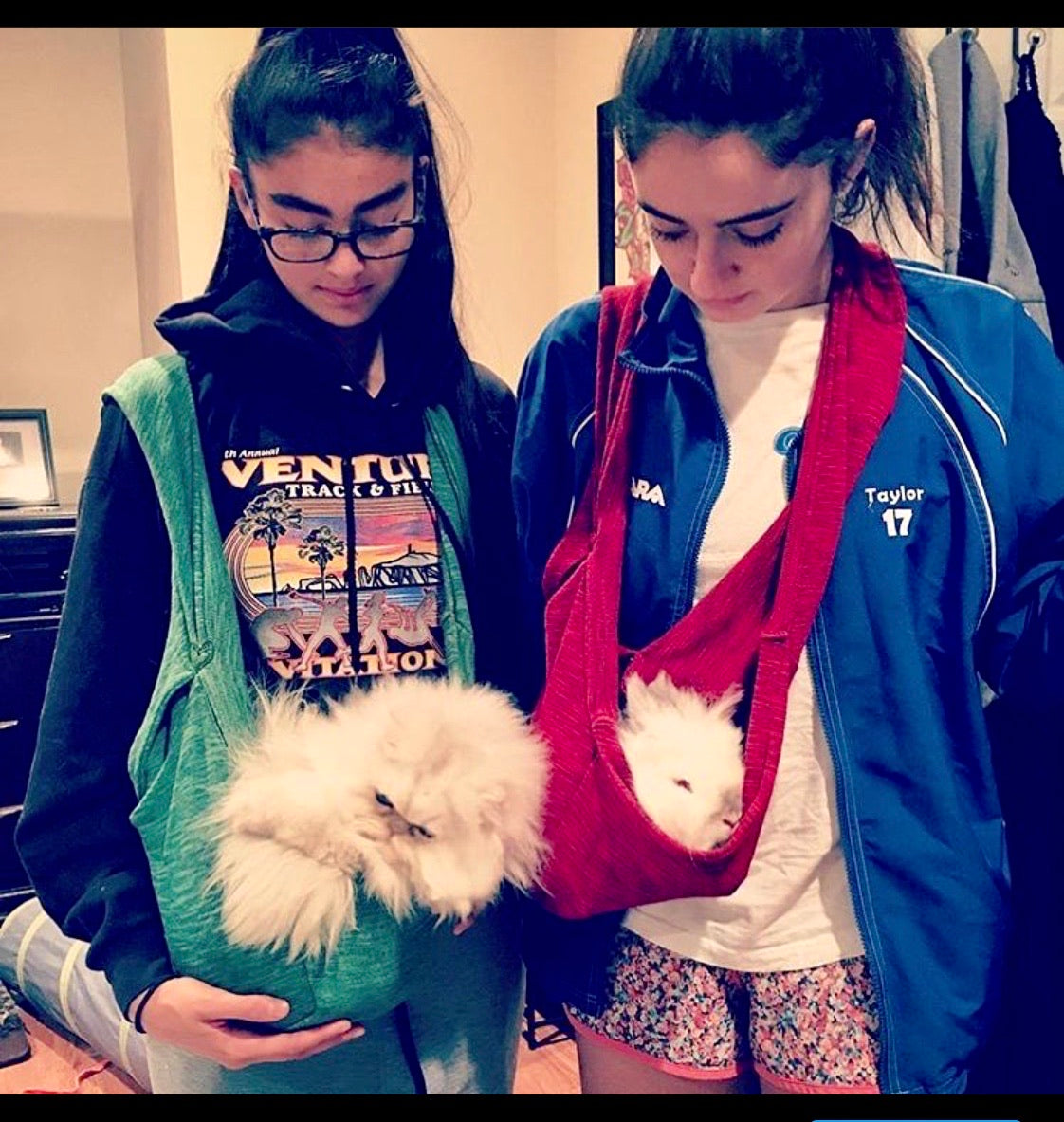 Kids pocket dog carriers (not for adults over xs)