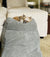 Best Orthopedic small pet stairs
