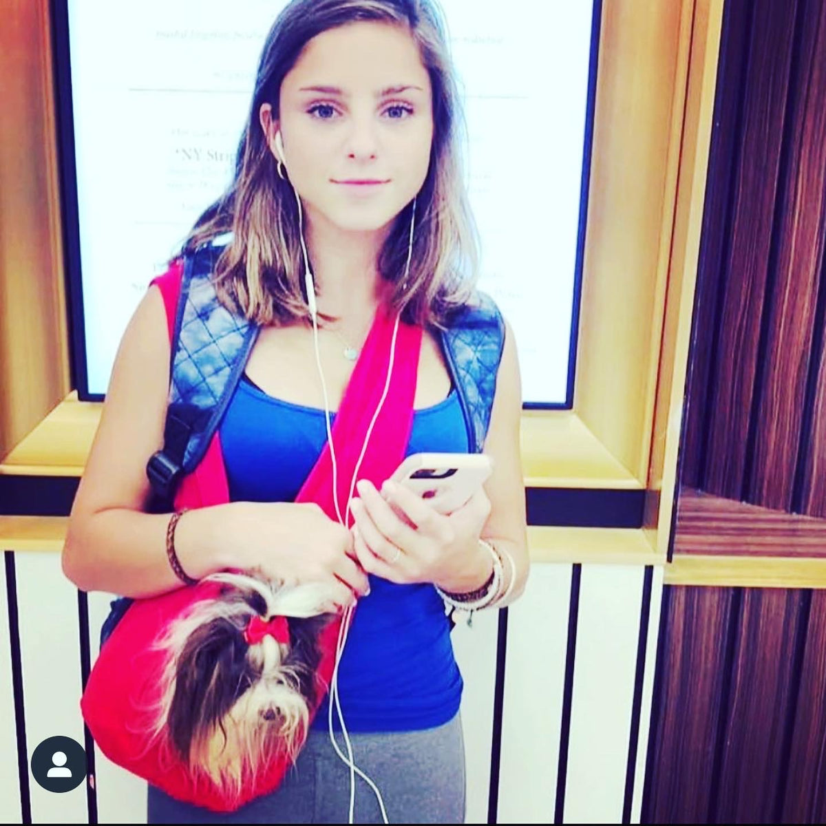 Kids pocket dog carriers (not for adults over xs)