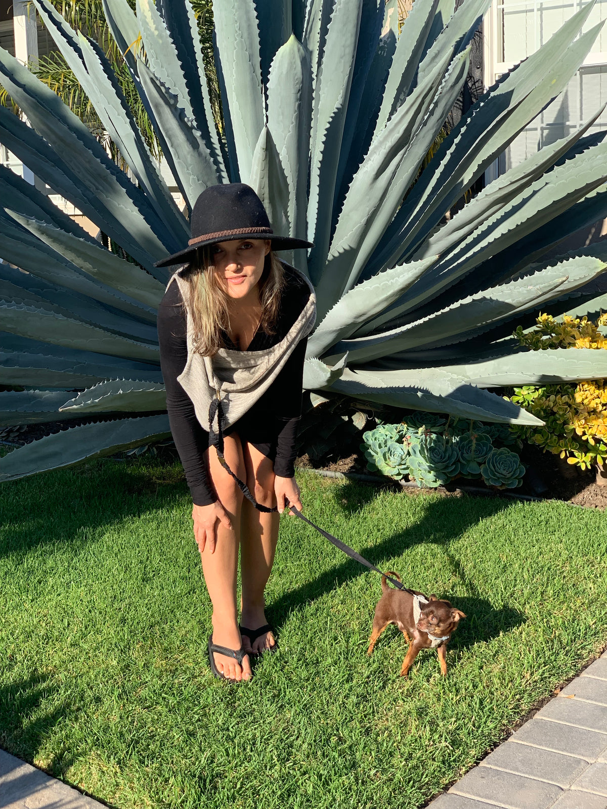 ALL INCLUSIVE carrier w/harness &amp; leash!