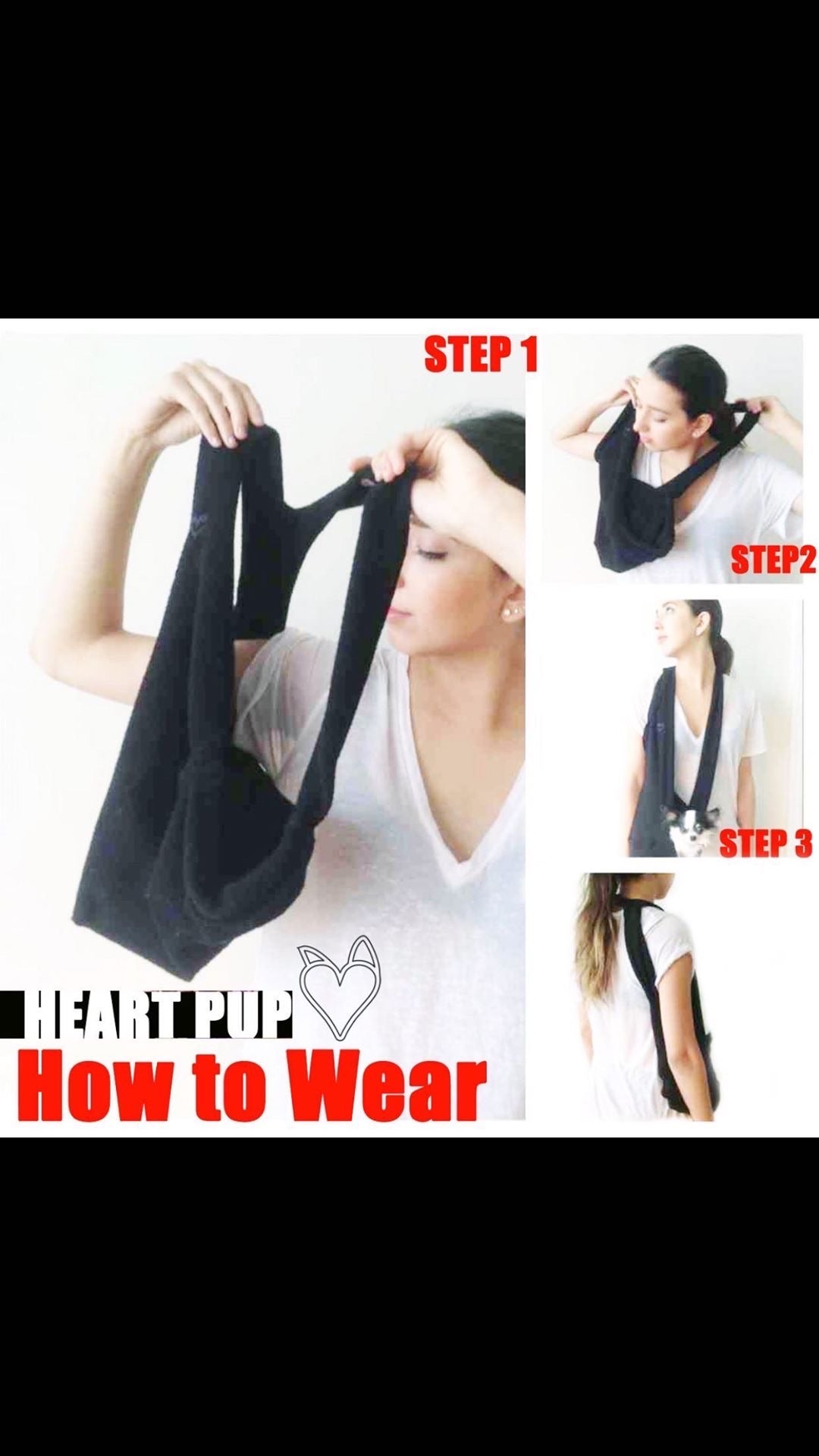 ALL INCLUSIVE carrier w/harness &amp; leash!