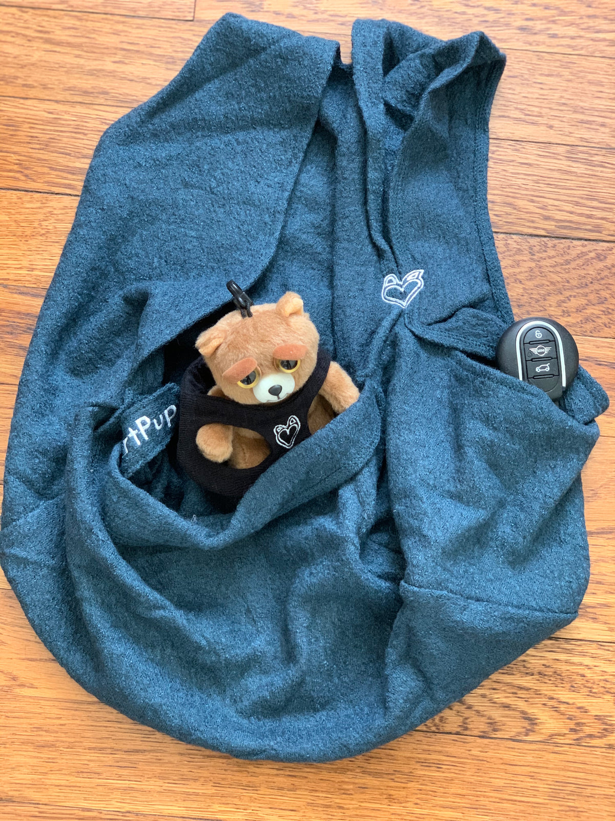 ALL INCLUSIVE carrier w/harness &amp; leash!