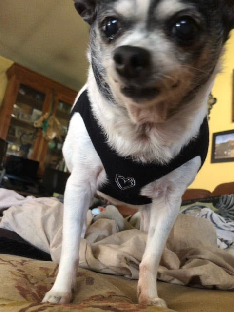 HeartPup slip on body dog harness with D-ring 👍👍 (cotton/cashmere)